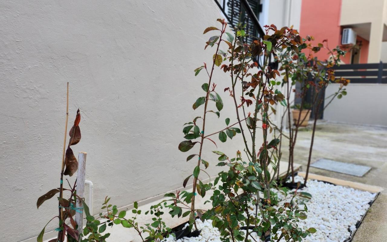 Pieri House Corfu Leilighet Ypsos Eksteriør bilde